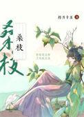 古代药膳手札在线阅读