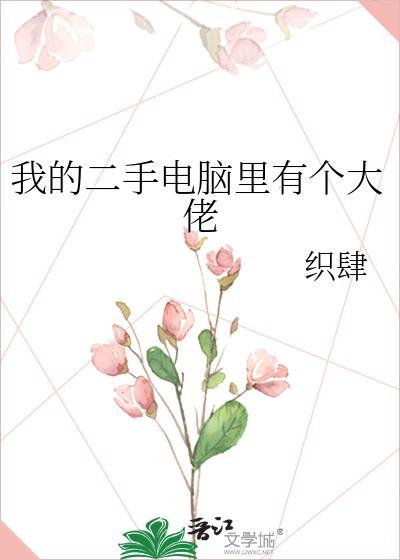 我的二手电脑里有个大佬免费阅读百度