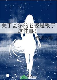 关于甚尔的老婆是银子这件事!全文阅读