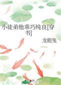 徒弟太乖了怎么办全文阅读