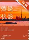 炉边伏影讲的什么