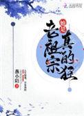 老祖宗她是真的狂精校版免费