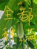 全修真界都把我当女人