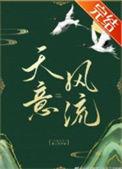 天意风流简介