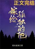 嫁给孤独的他by似水夏夜