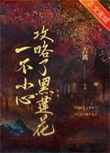 一不小心攻略了反派女二免费阅读