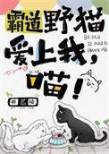 喵!免费阅读