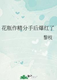 花瓶男神[娱乐圈