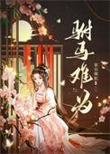驸马难当