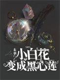 末世重生之白莲花的逆袭全文阅读