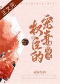 权臣的宠妻穿书录仙
