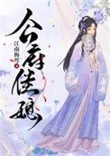 公府佳媳简介