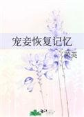 宠妾第四章