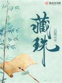 藏珠 txt
