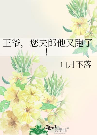 你家夫人又跑啦!