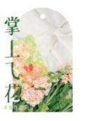 掌上花牌