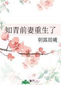 重生知青离婚前夕
