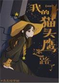 我的猫头鹰迷路了免费阅读