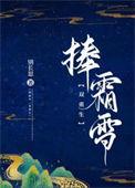 捧霜雪的笔趣阁在线阅读免费
