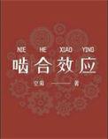 啮合方式