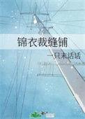 锦衣现代文24