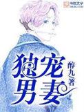独宠男妻阅读完整版
