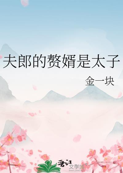 夫郎的赘婿是太子吗