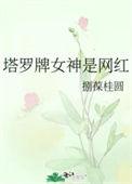 塔罗牌很厉害的女明星