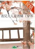 表兄大人是首辅乐文网