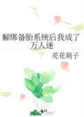 解绑备胎系统后我成了万人迷贺双眠