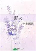 野火专业商店推出阻燃喷雾