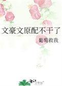 文豪文原配不干了TXT