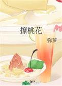 撩桃花TXT