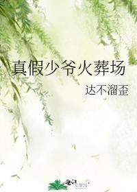 真假少爷火葬场by讲的什么故事