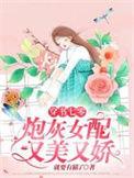 炮灰女配又美又娇