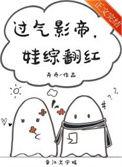 娃综翻红沈