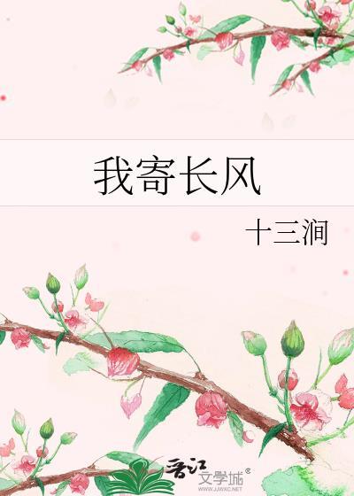 我寄长风全集TXT