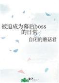 被迫成为总裁后剧透
