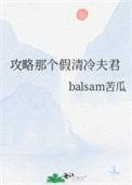 攻略那个起