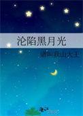 沦陷黑月光评价