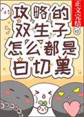 攻略双胞胎