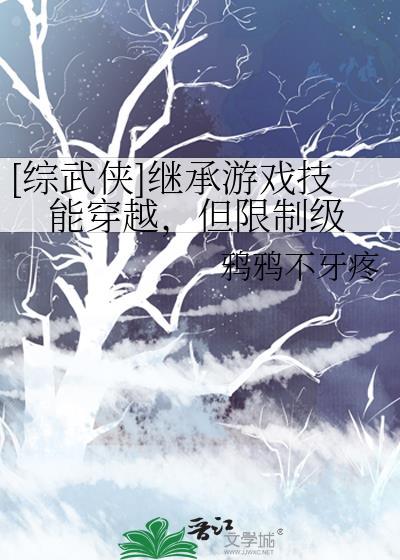 综武继承无双剑匣