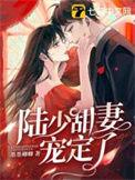 陆少宠妻太甜蜜免费读