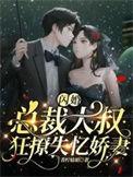 闪婚甜妻