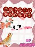 穿越七零成军嫂
