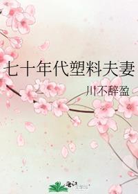 七十年代塑料夫妻最新章节
