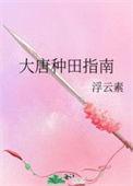 大唐种田指南阅读