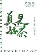 好茶!第24章