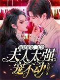 霸宠总裁夫人全文在线