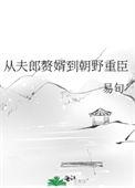 从夫郎赘婿到朝野重臣百度